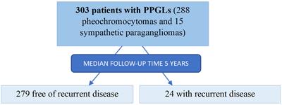 Local recurrence and metastatic disease in pheochromocytomas and sympathetic paragangliomas